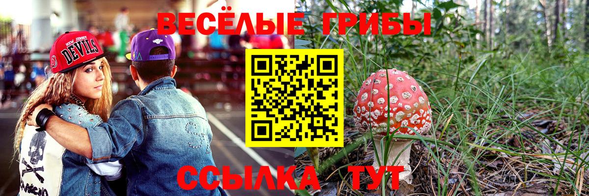 Псилоцибиновые грибы прущие грибы Кисловодск