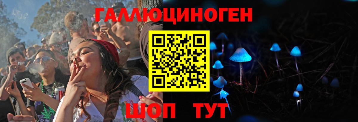 Псилоцибиновые грибы ЛСД  Вход с VPN  Кисловодск 